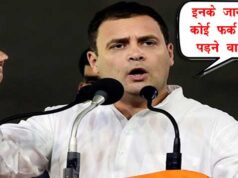 Did Rahul Gandhi make this shocking statement on Scindia-Pilot? rahul-gandhi-statement-on-jyotiraditya-scindia-and-sachin-pilot