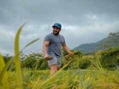 Salman Khan planted paddy plants in their farm salman-khan-planted-paddy-plants-in-farm