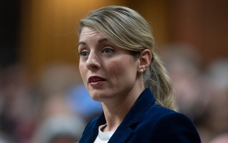 Canada expels Chinese diplomat over alleged intimidation plan Canada expels Chinese diplomat over alleged intimidation plan